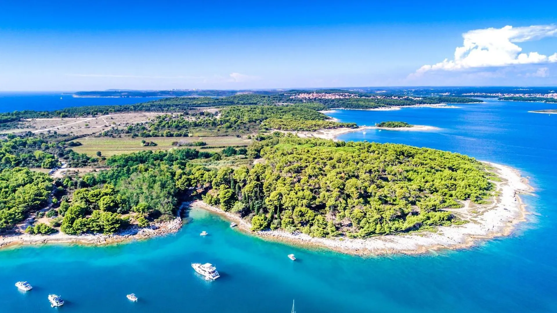 Pet Friendly Apartment - Happy Rentals Pula